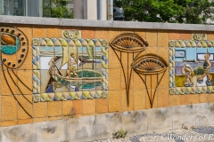 DSC03683
