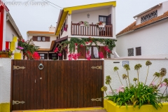DSC03736