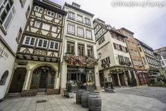 DSC09075