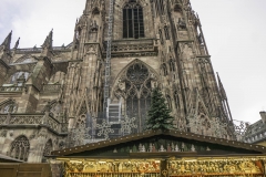 DSC09163